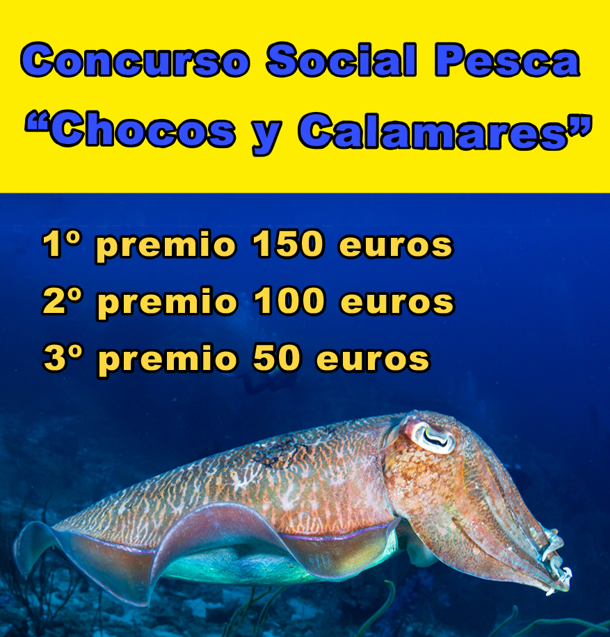 Concurso Social Fondeado Cefalópodos
